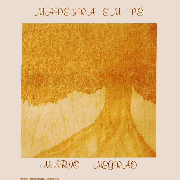 Madeira Em Pé
