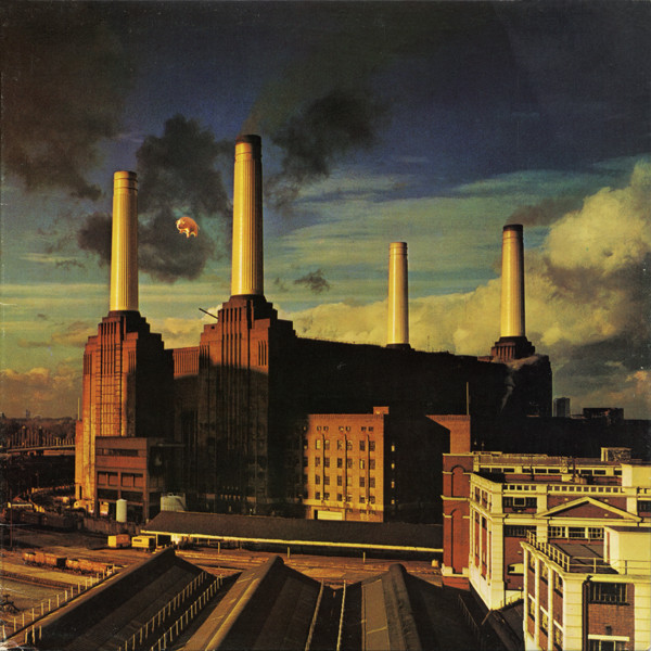 Animals cover