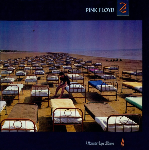 A Momentary Lapse Of Reason